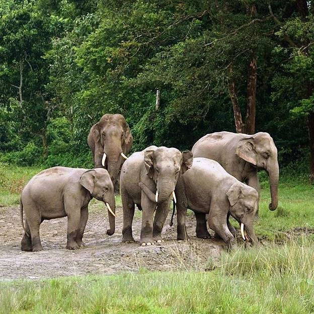 Dooars Educational Eco Tour